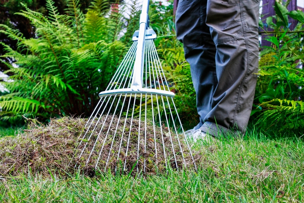 Autumn Lawn Care Guide - Ripley Nurseries - Garden Centre - Farm Shop 