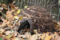 How to make a hedgehog house