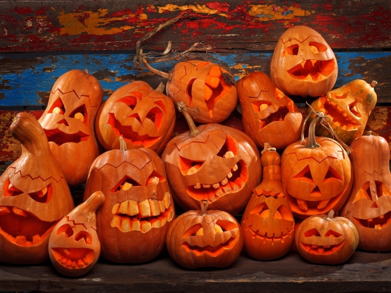 Pumpkins, not just for Halloween - Ripley Nurseries - Garden Centre ...