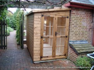 Deluxe Pent 10x5 with 2 pairs of Richmond Doors.