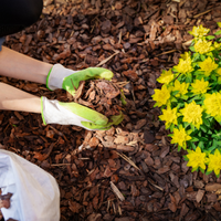 Bark & Mulches
