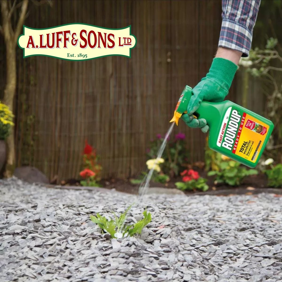 Roundup® Fast Action Ready To Use Weedkiller 1.2lt - Ripley Nurseries ...